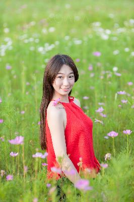 最新电视剧排行榜